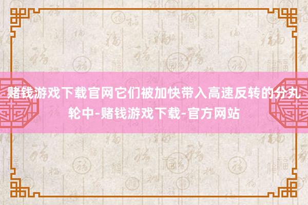 赌钱游戏下载官网它们被加快带入高速反转的分丸轮中-赌钱游戏下载-官方网站